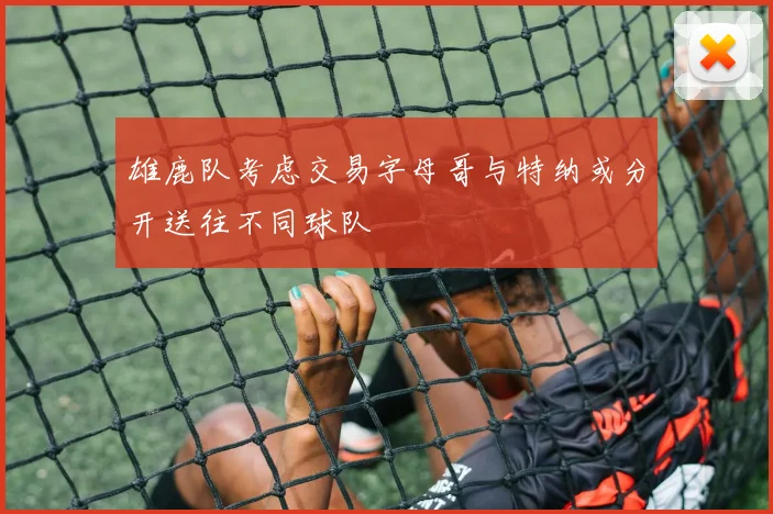 雄鹿队考虑交易字母哥与特纳或分开送往不同球队